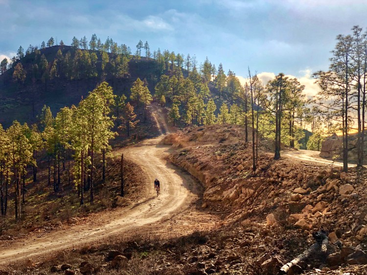 Gravel Gran Canaria: Chira 
