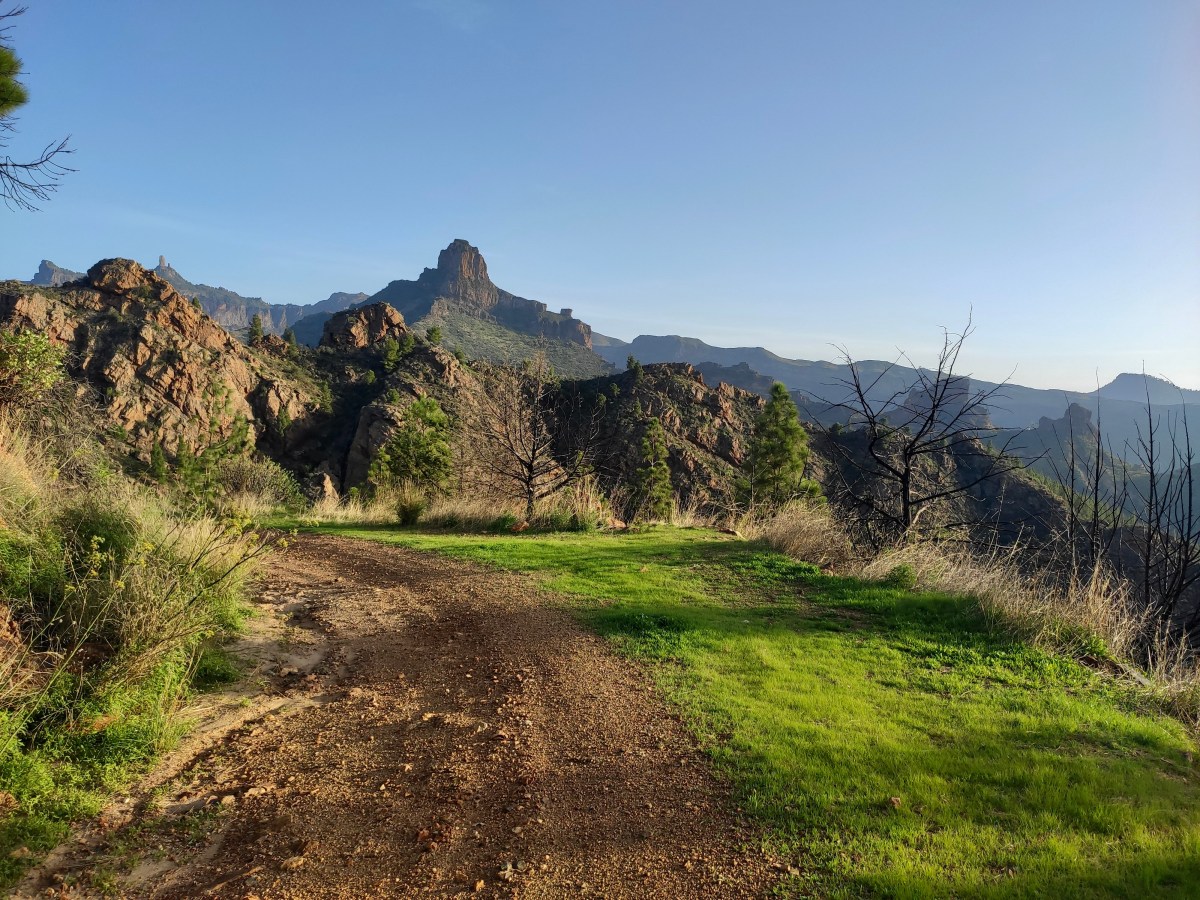 Gravel Gran Canaria:&nbsp;Locura